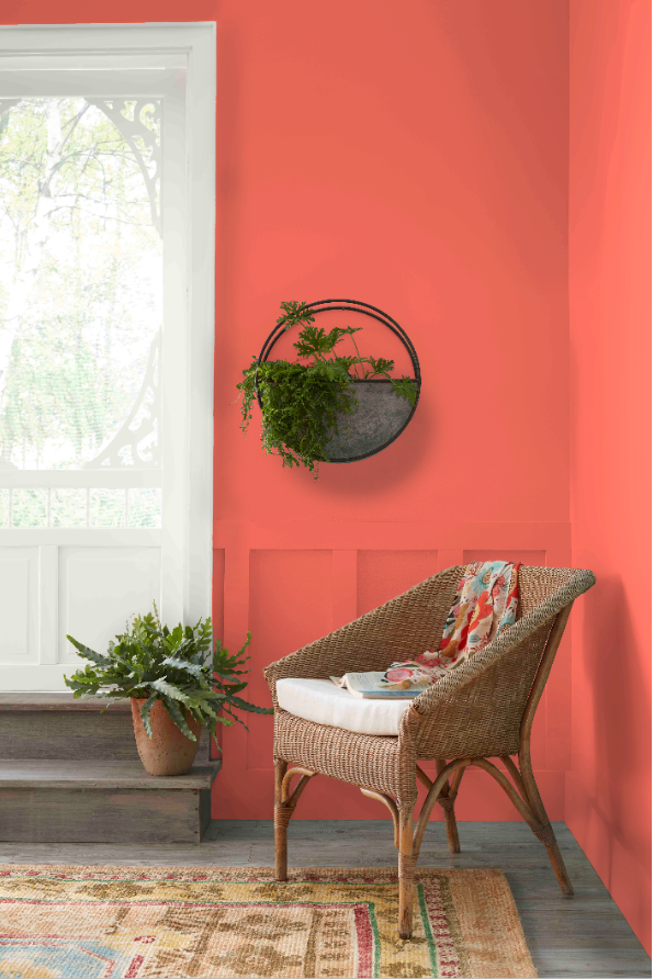 Coral wall paint