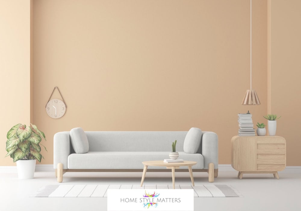 Grey sofa with rug and coffee table 