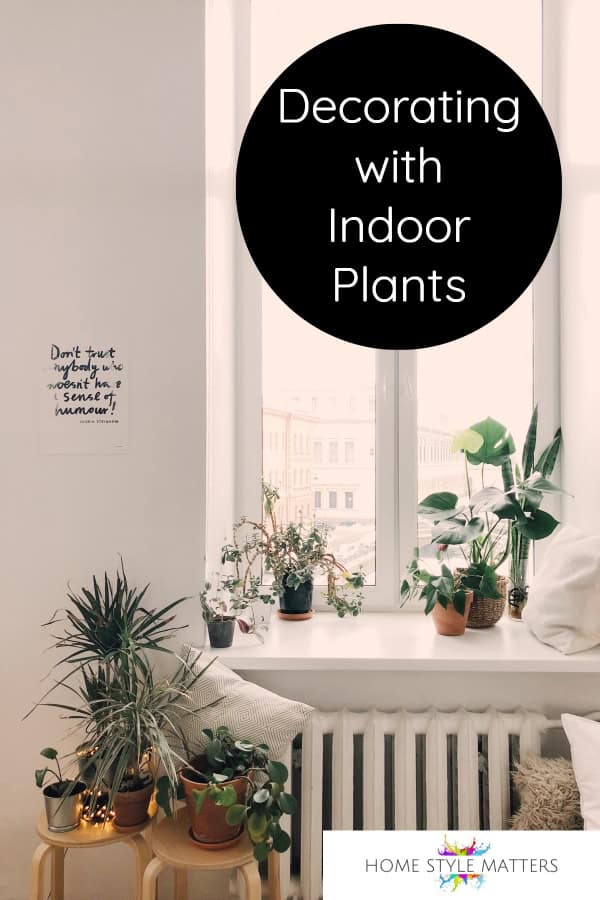 Decorating with Indoor Plants