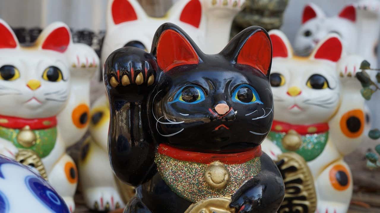 Lucky Cat