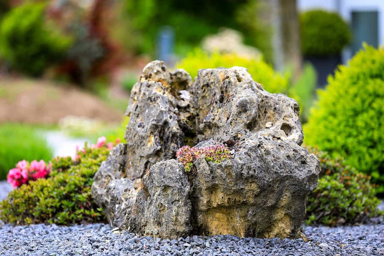 Rock Garden