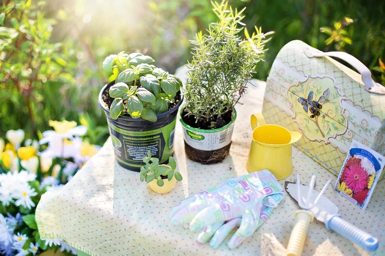 Roof Garden Ideas