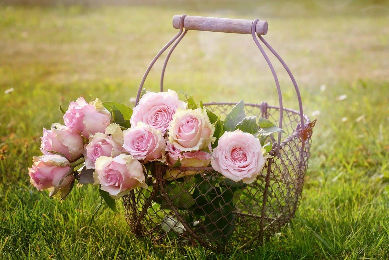 Rose basket