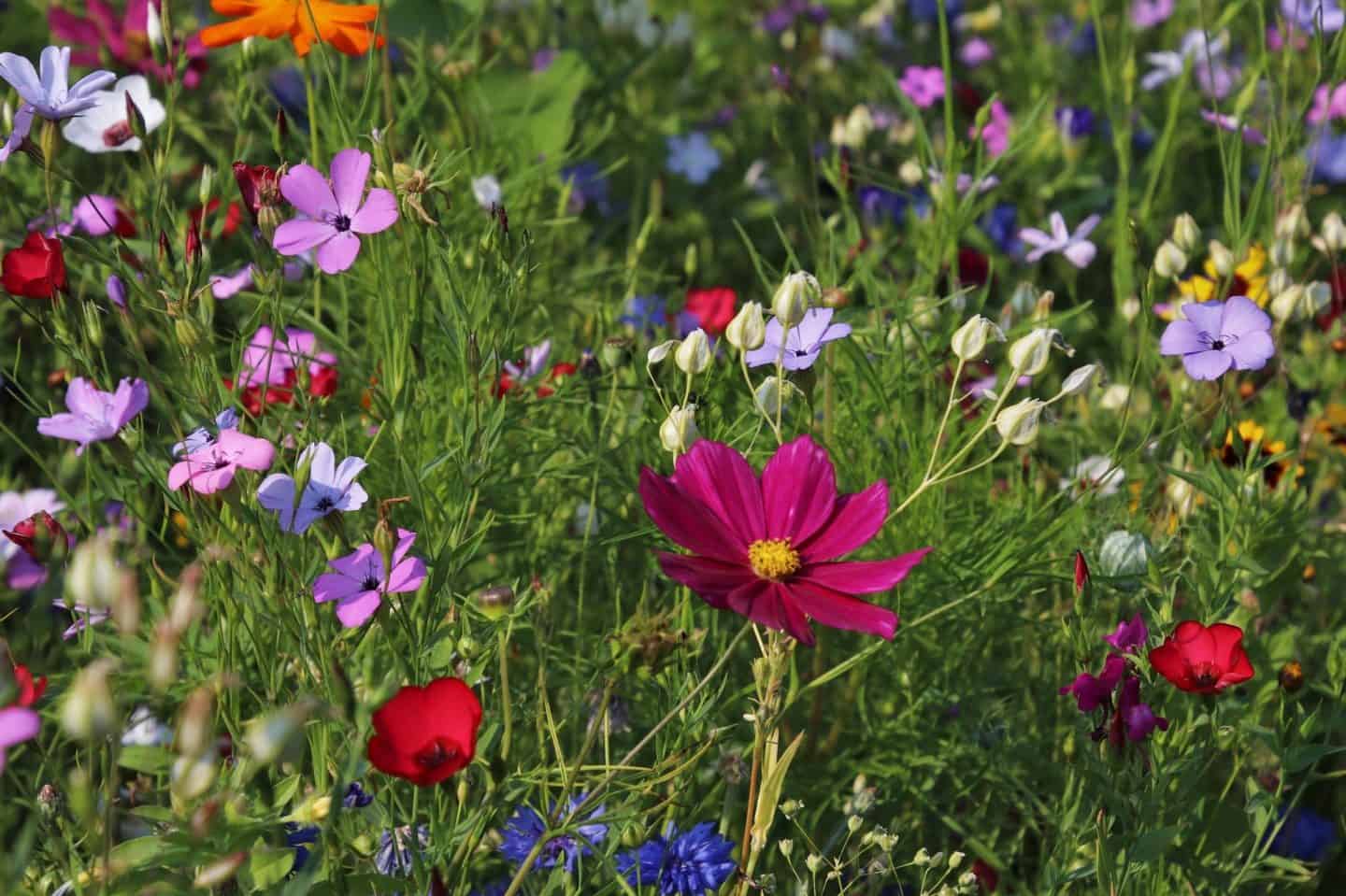 Eco-friendly gardening