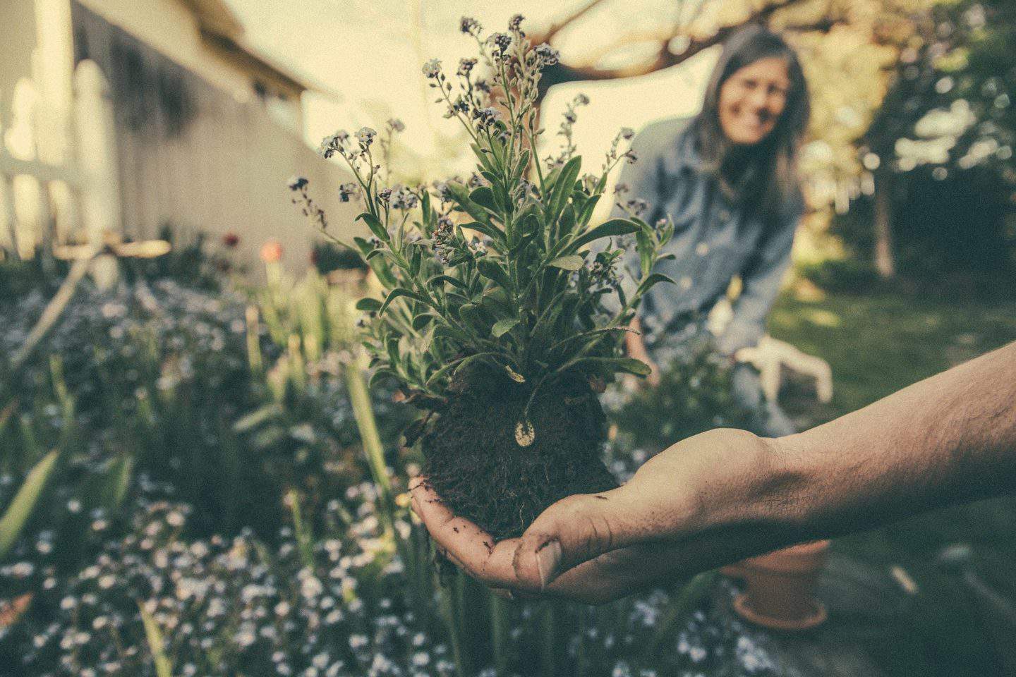 Eco-friendly gardening