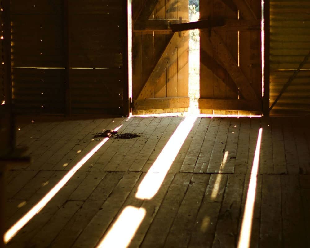 shed flooring