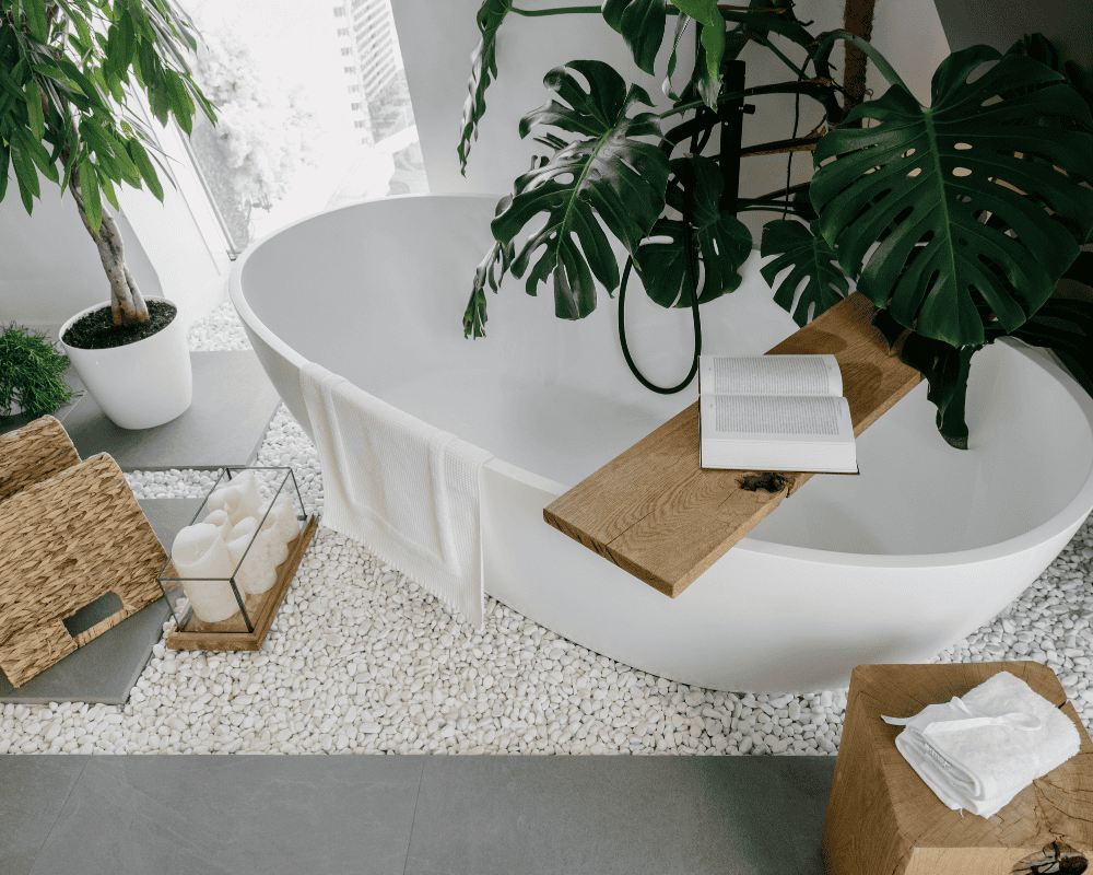 Feng Shui Bathroom Plants