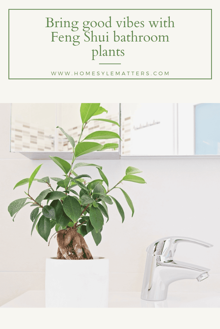 Bring Good Vibes with Feng Shui Bathroom Plants 1