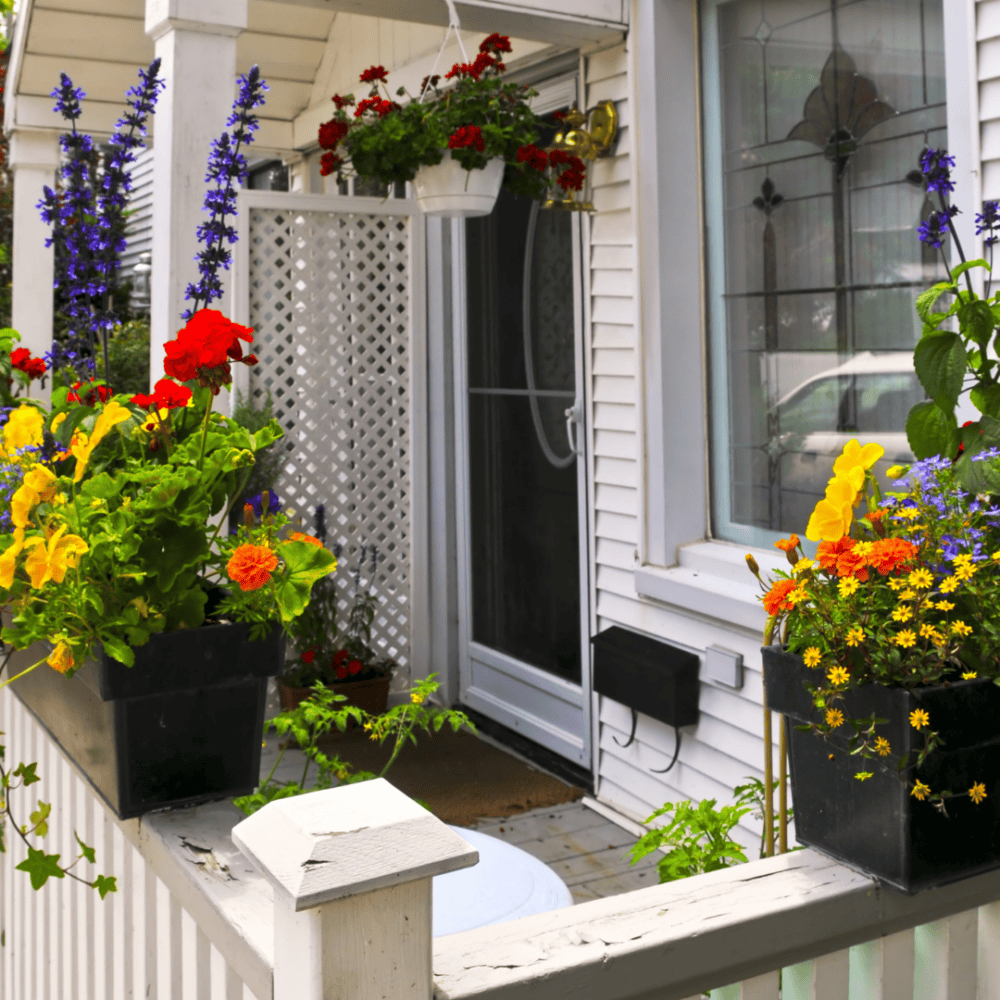 Enhance your entrance with colorful flowers