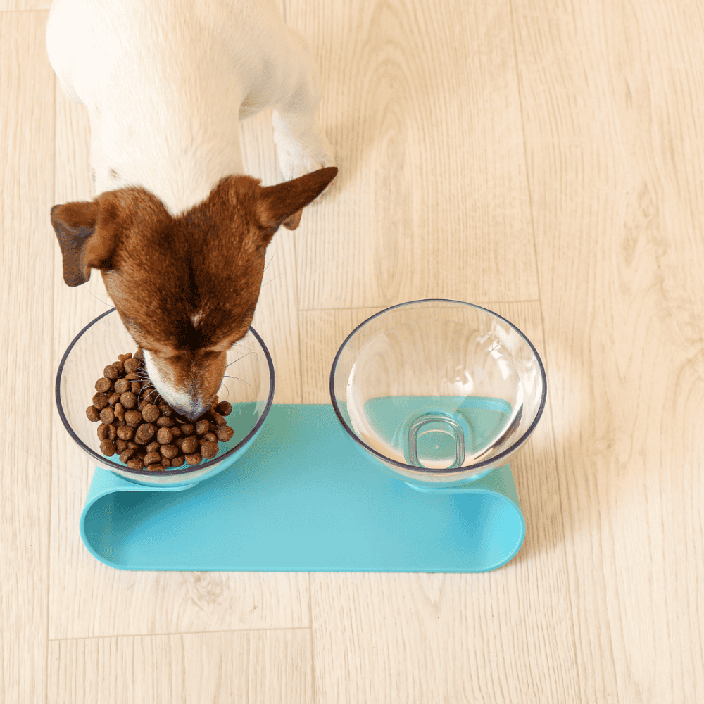 Food and water bowls 