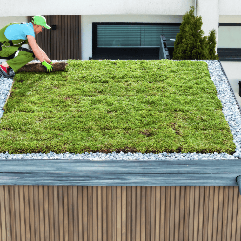 Green Roofs - Embracing Nature