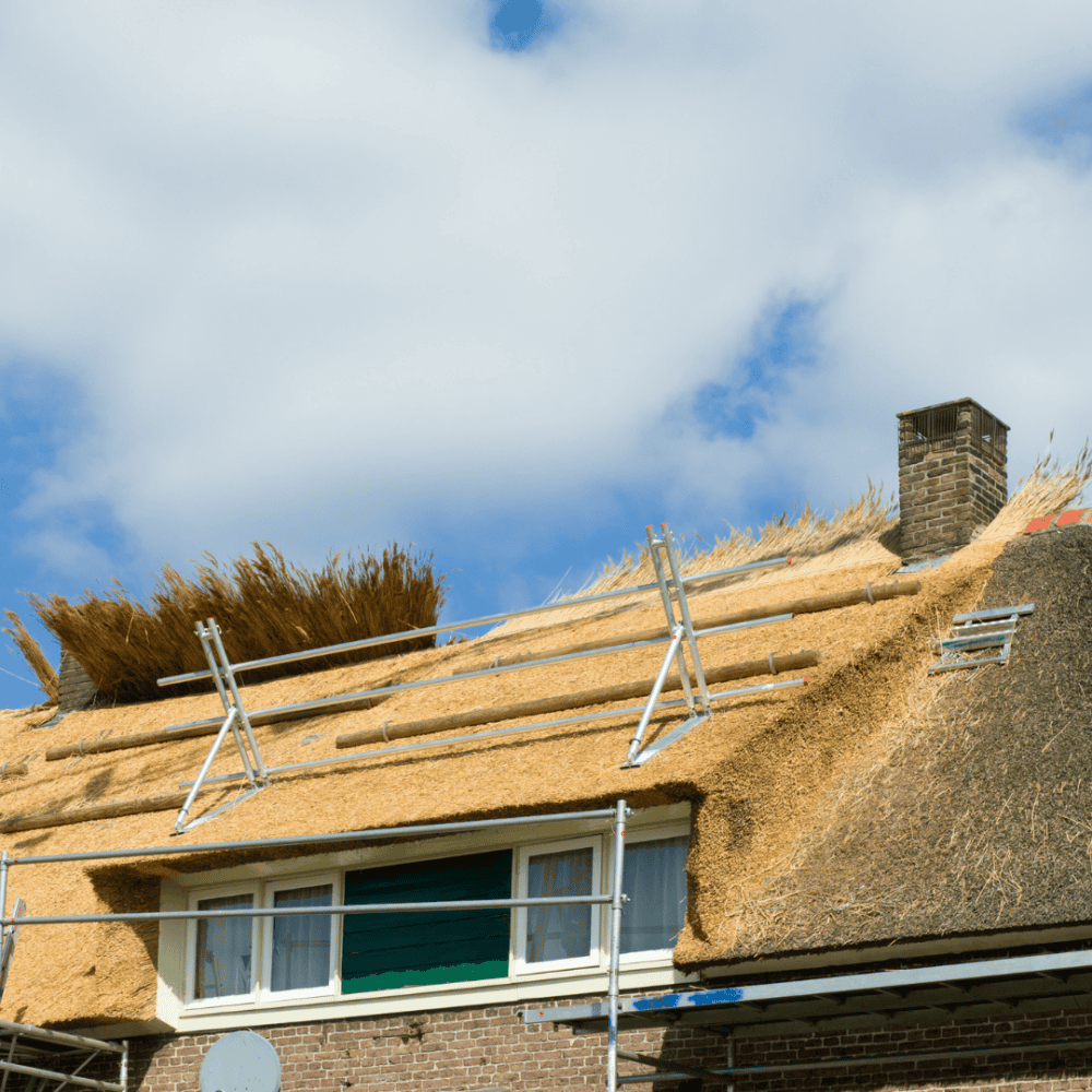 Thatched Roof