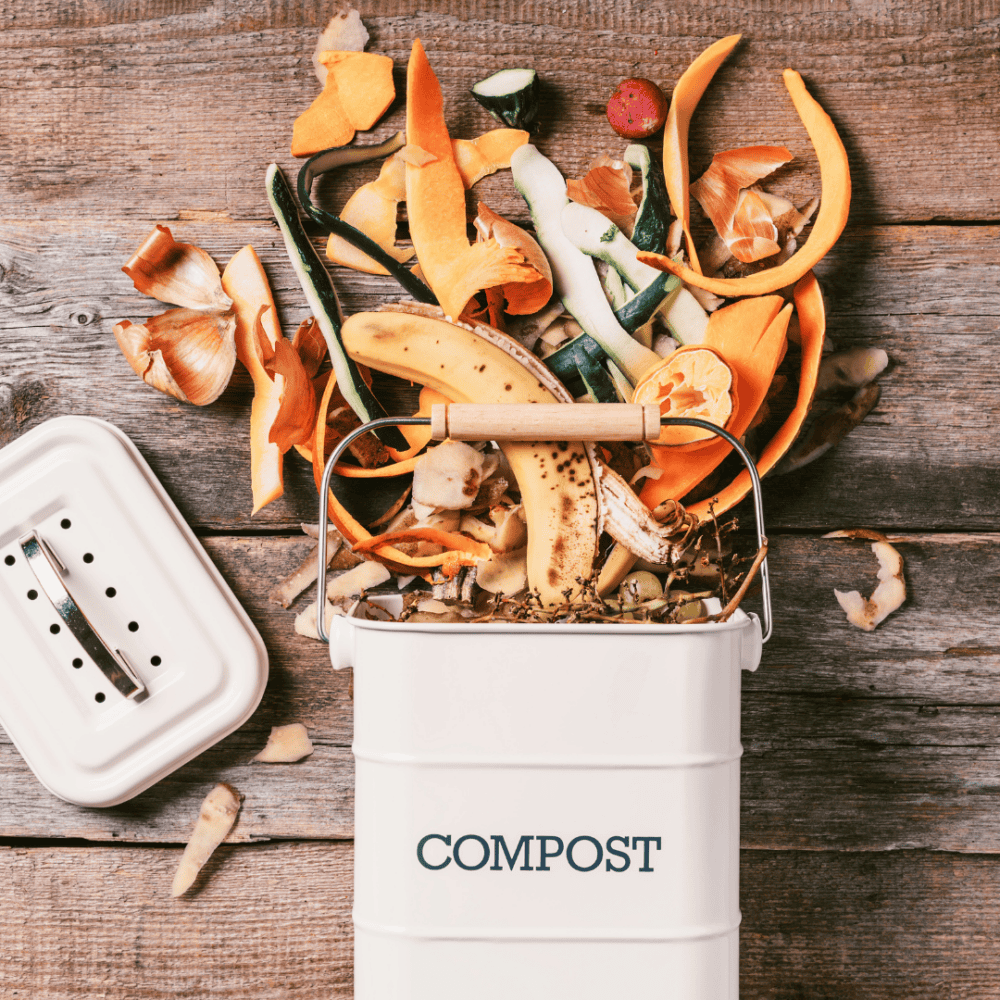 Gardening and composting - creating a greener space