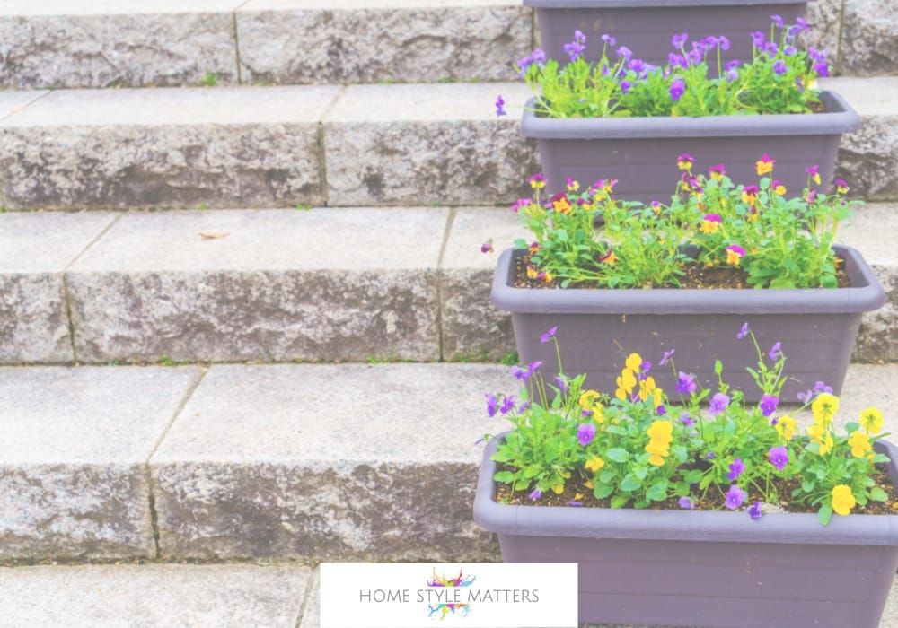 Elevate Your Curb Appeal: The Power of Plants with Impact 2 gardens