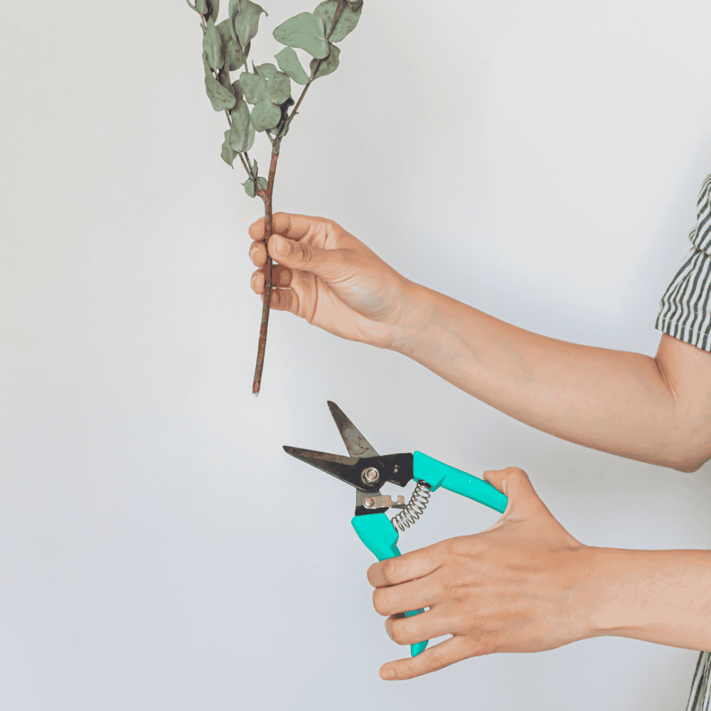 Trim Your Foliage