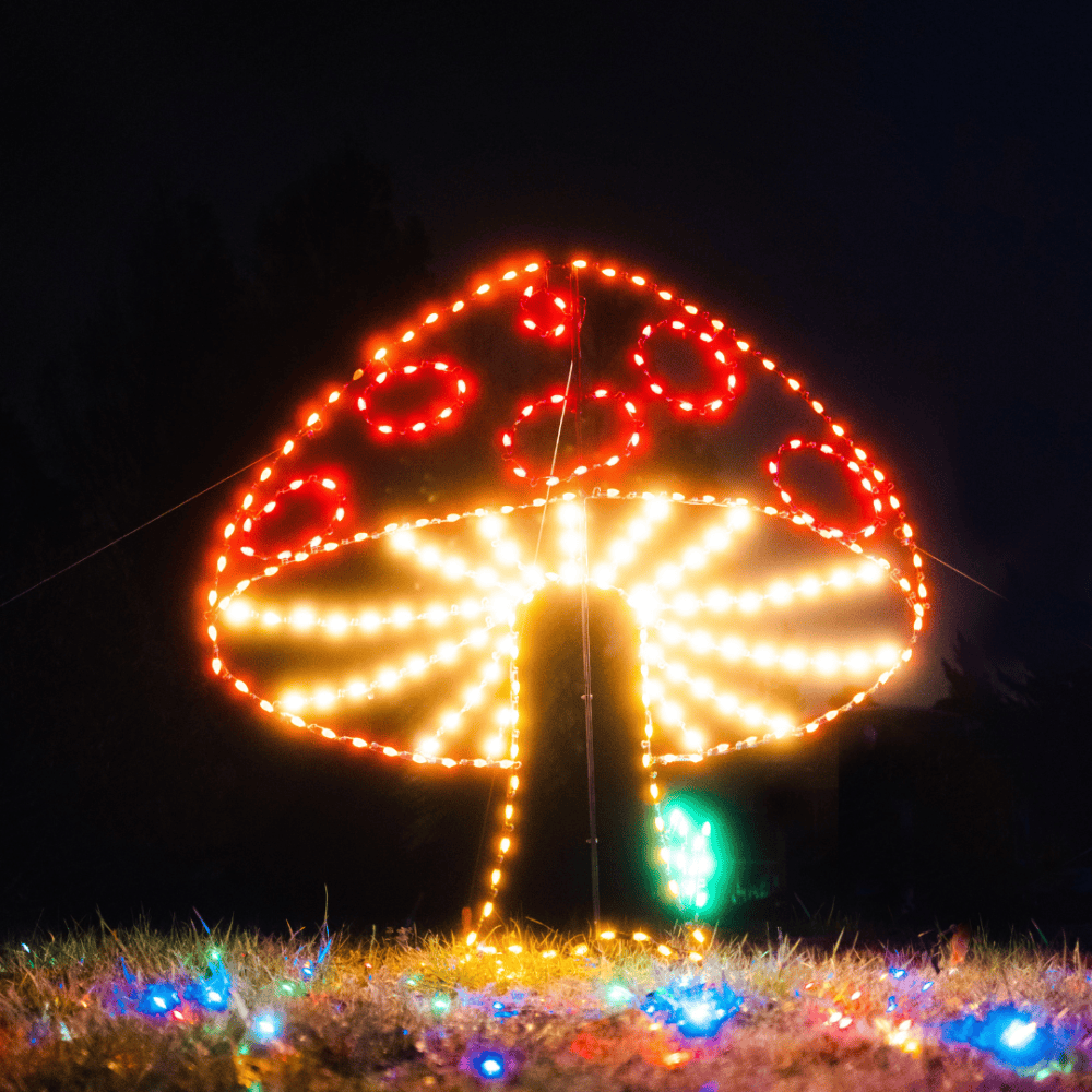 Mushroom Lamps and Lighting