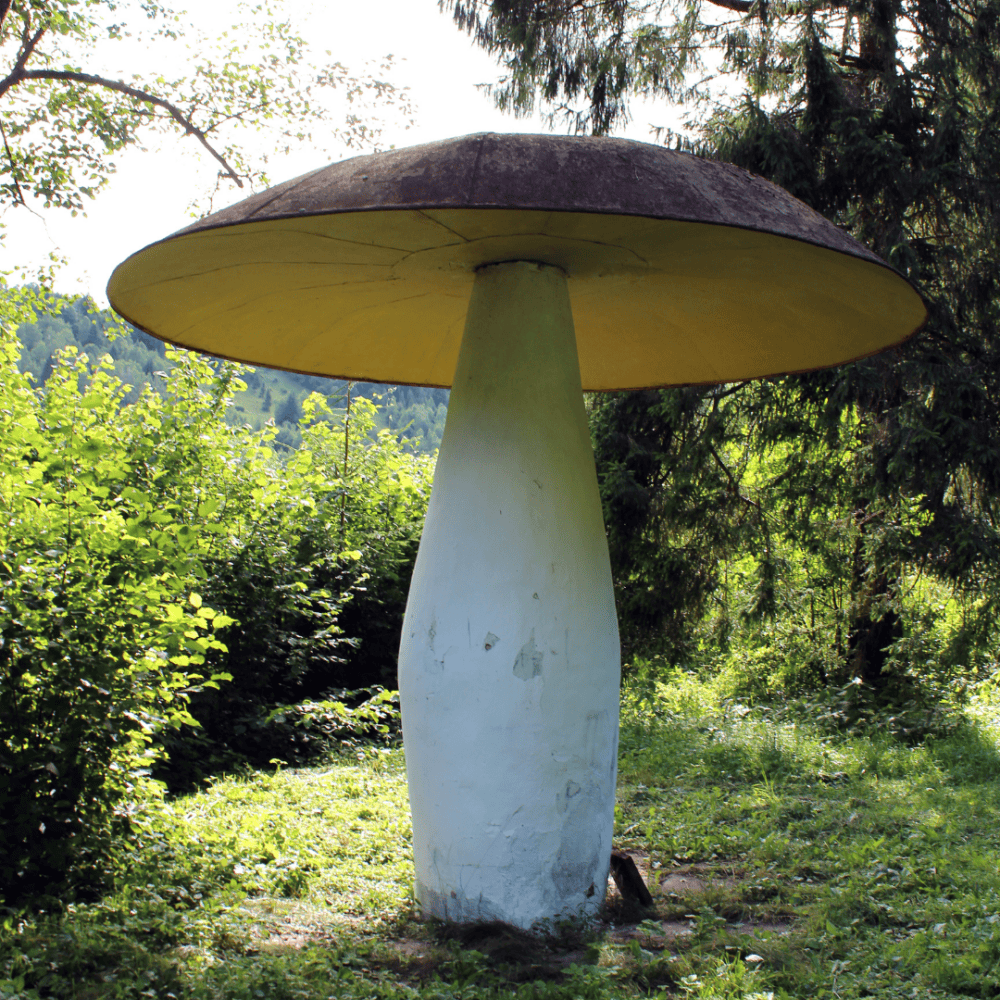 Mushroom Inspired Gardens