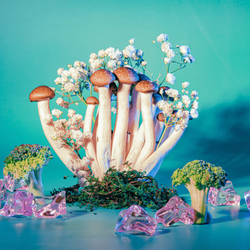 Mushroom Inspired Gardens