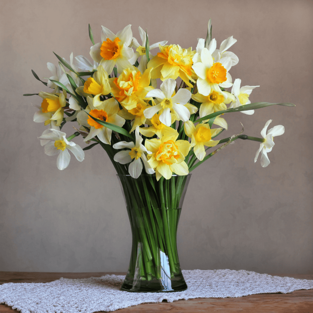 Flower Power! Unlock the Secrets to Selecting the Perfect Vase
