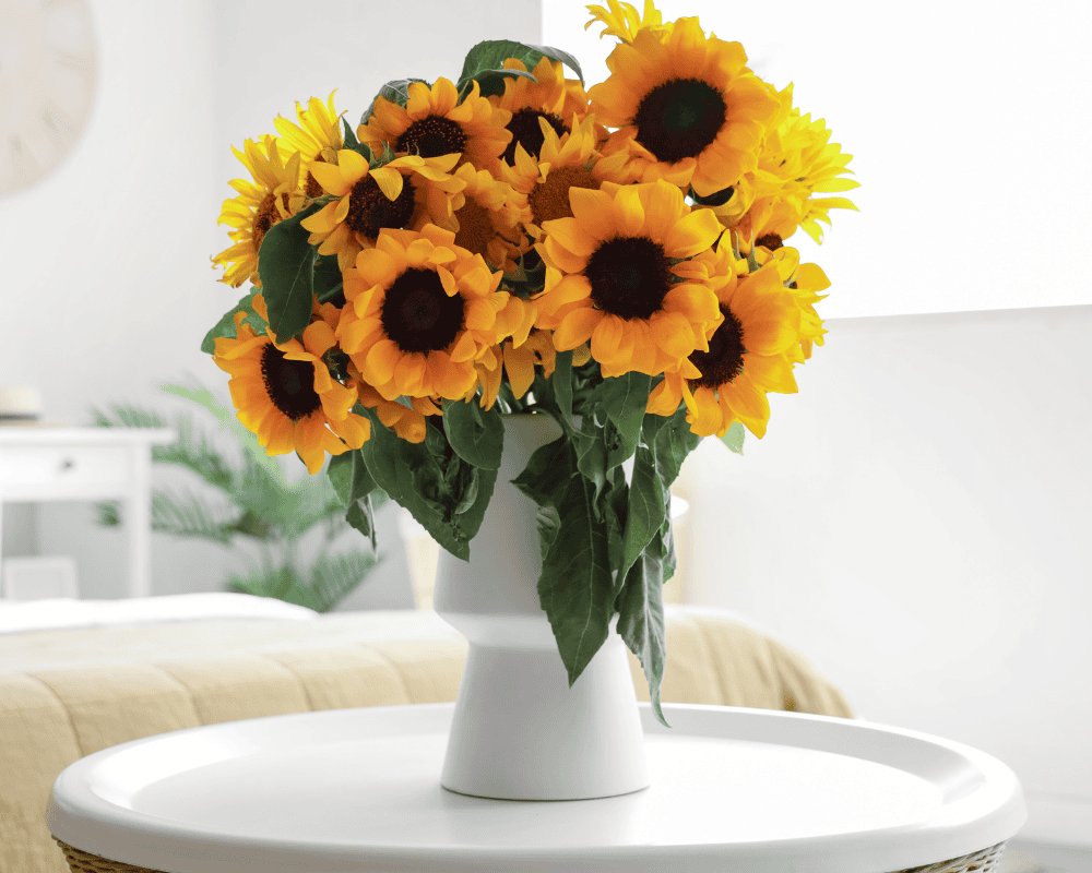 The Symbolic Importance of Flowers - Sunflowers