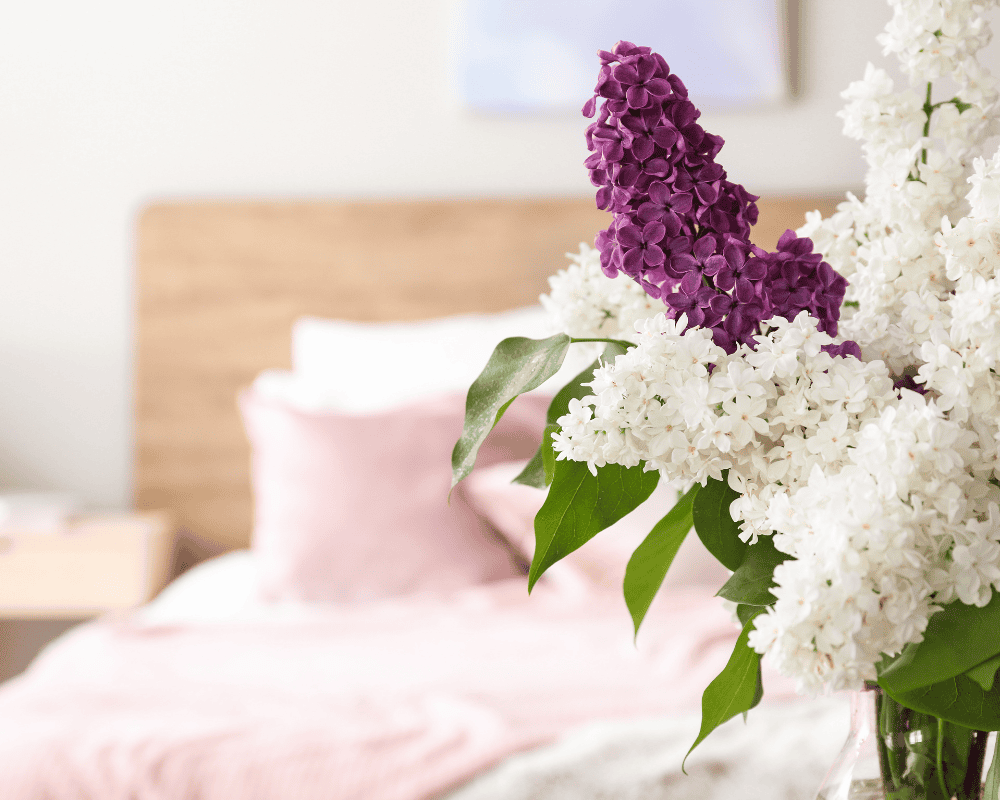 Colours and Scent - Feng Shui Flowers in the bedroom