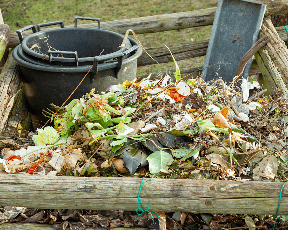 Compost Wisely