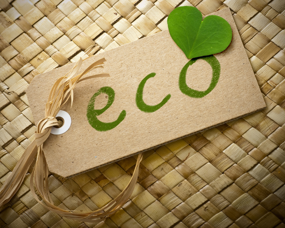 Consider Eco-Friendly Dryers