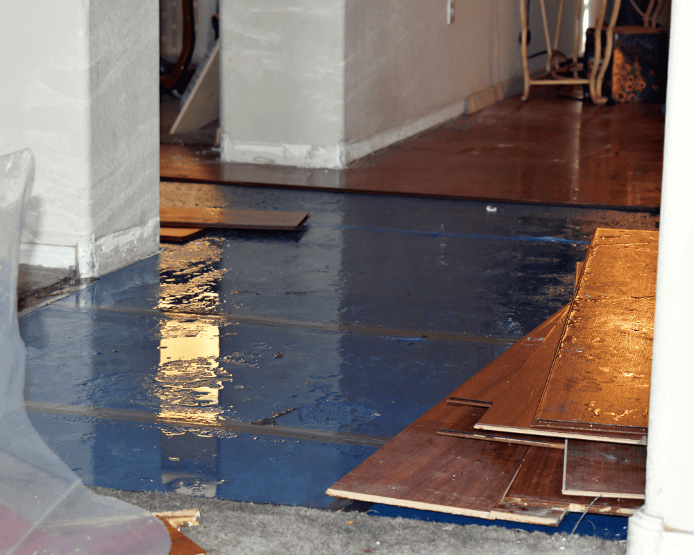 The Importance of Flood Insurance - Protecting Your Home and Finances 2