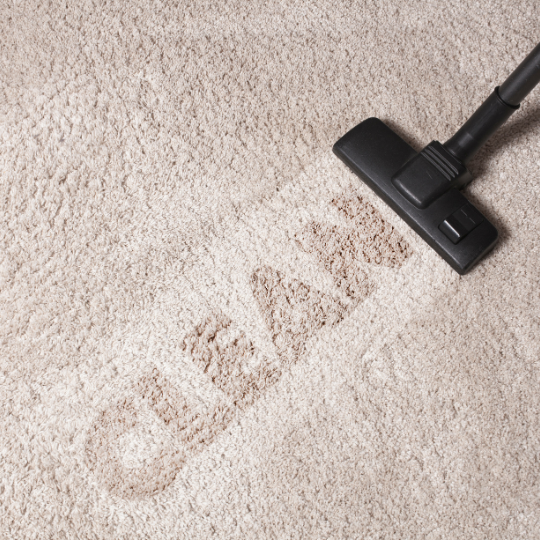 Say Goodbye to Stains: Guide to Carpet Cleaning 7