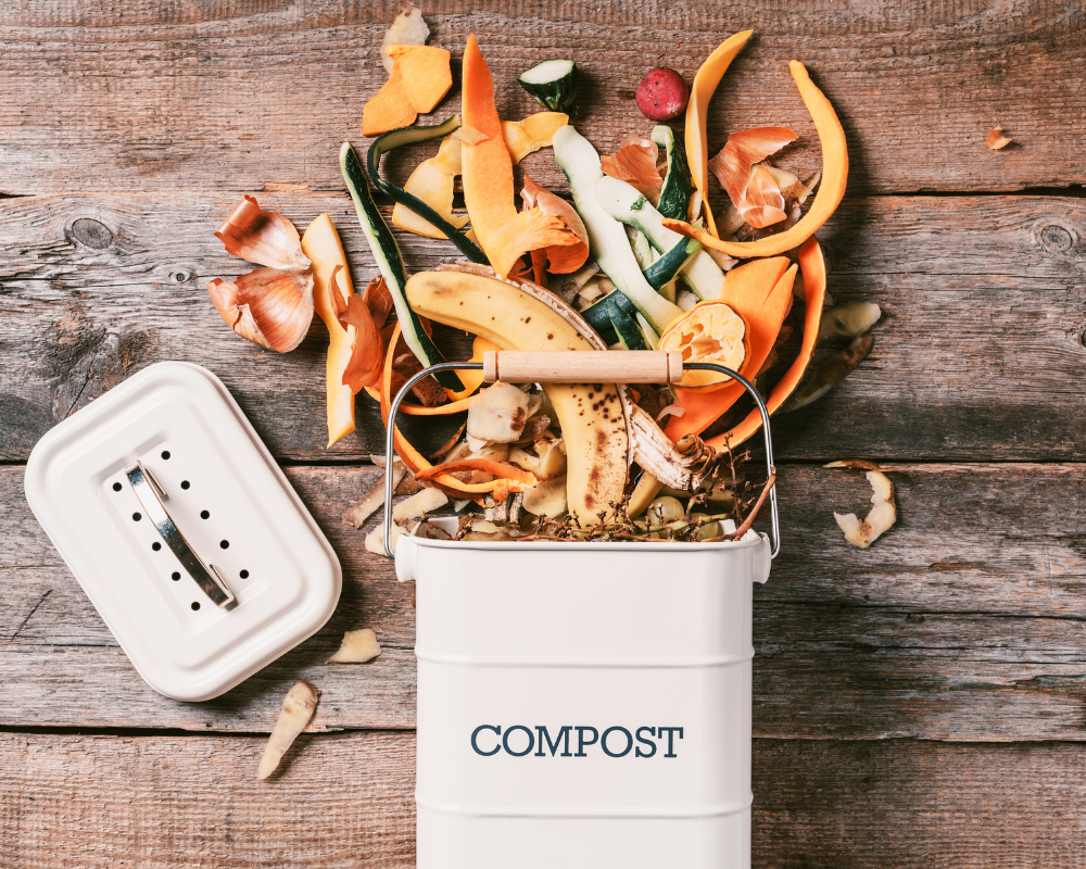 Creating a Home Compost Bin