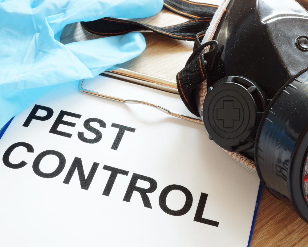 Pest Control Check