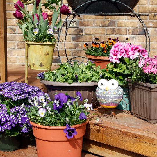 Spring Garden Favourites to Brighten Your Space 1