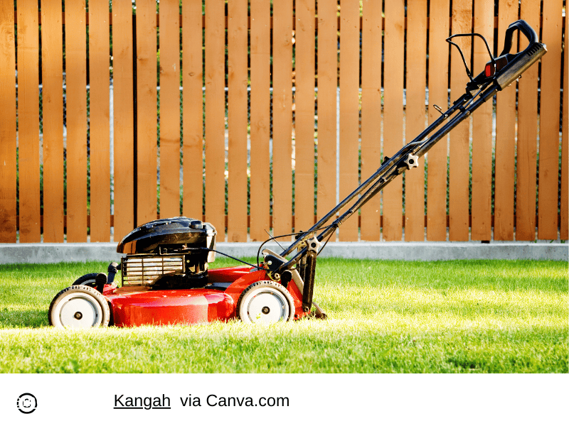The Best Lawnmowers and Robomowers for Your Lawn