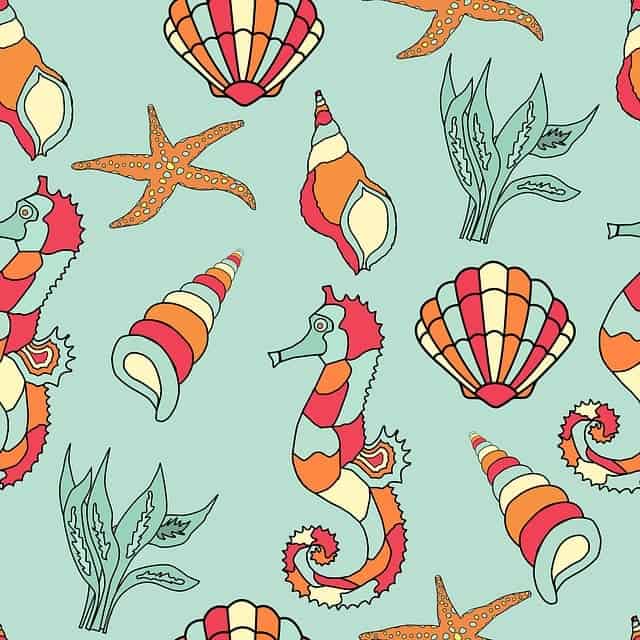 Shell Wallpaper or Decals