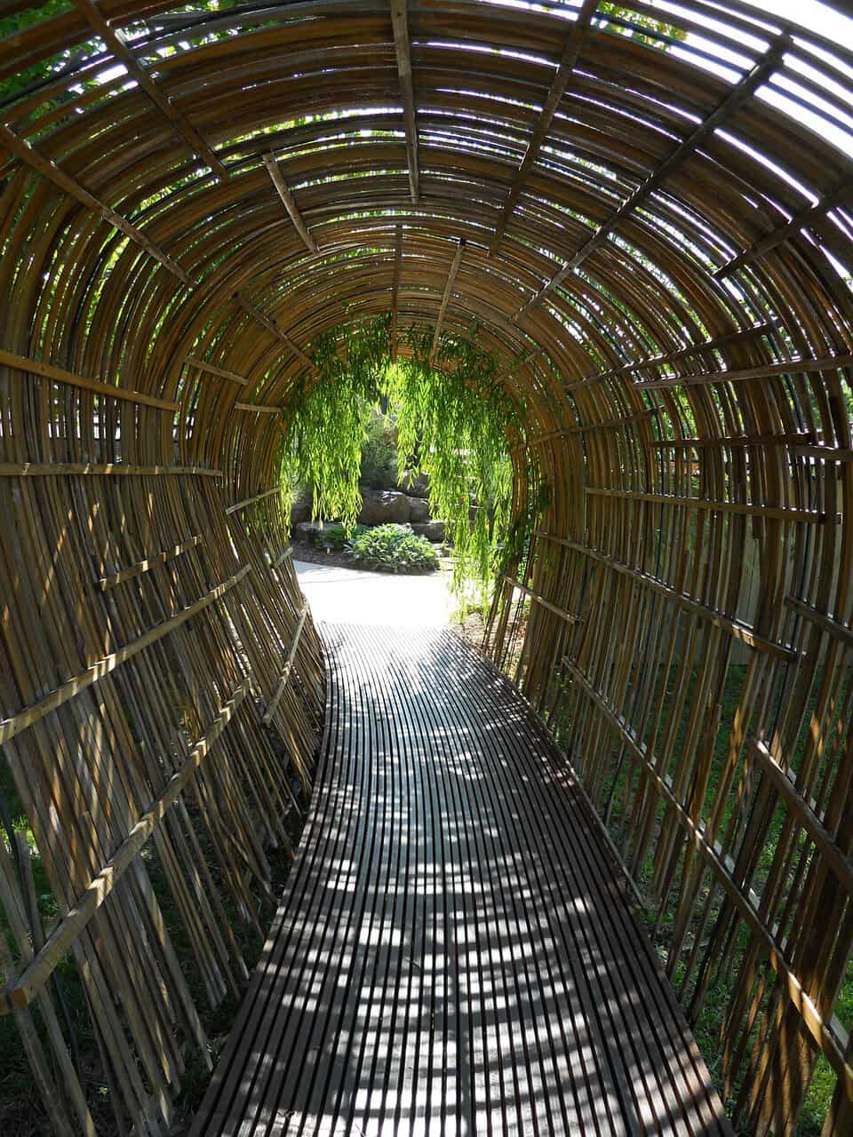 Bamboo or Reed Arch and Screens