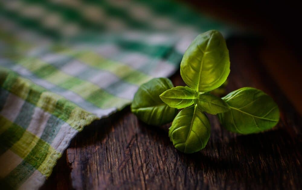 Indoor Gardening