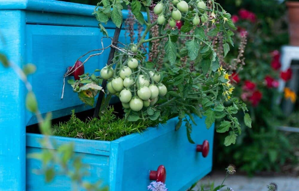 Storage Benches -Furniture