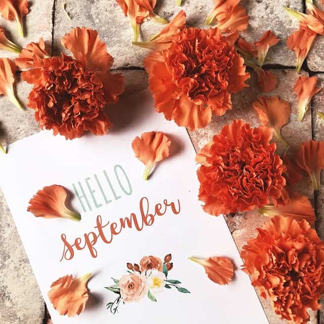 September Garden Tasks 6