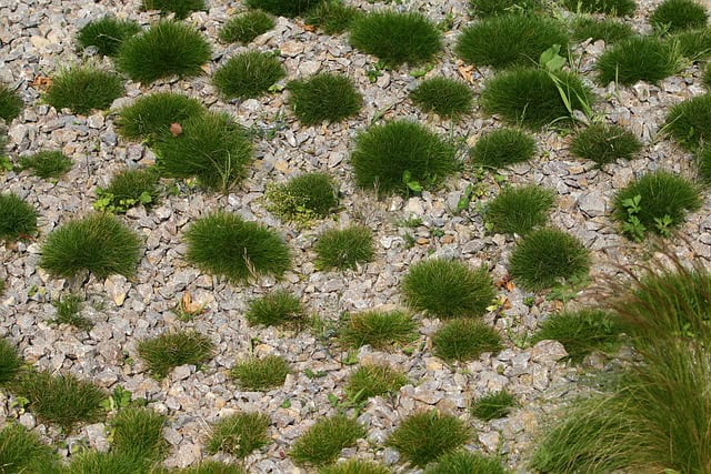 Transform Your Front Garden - Grass or Gravel? Which will it be? 1