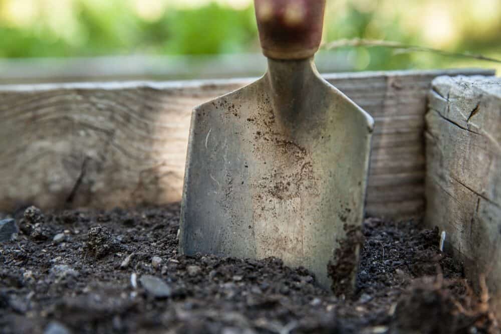 Prepare Your Soil for Spring