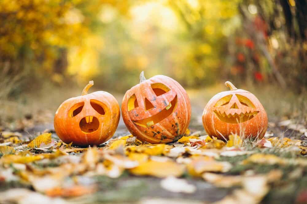 Pumpkins - Crafting Your Own Halloween Decor