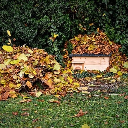 How Best To Control the Autumn Leaves in the Garden 2