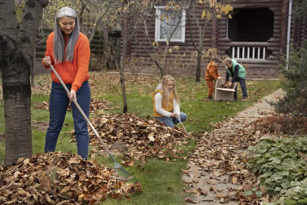 How Best To Control the Autumn Leaves in the Garden 2