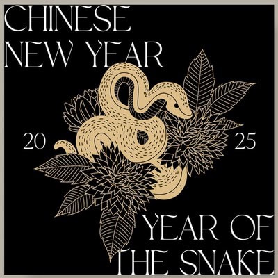 The Year of the Wood Snake - Feng Shui 2025  3