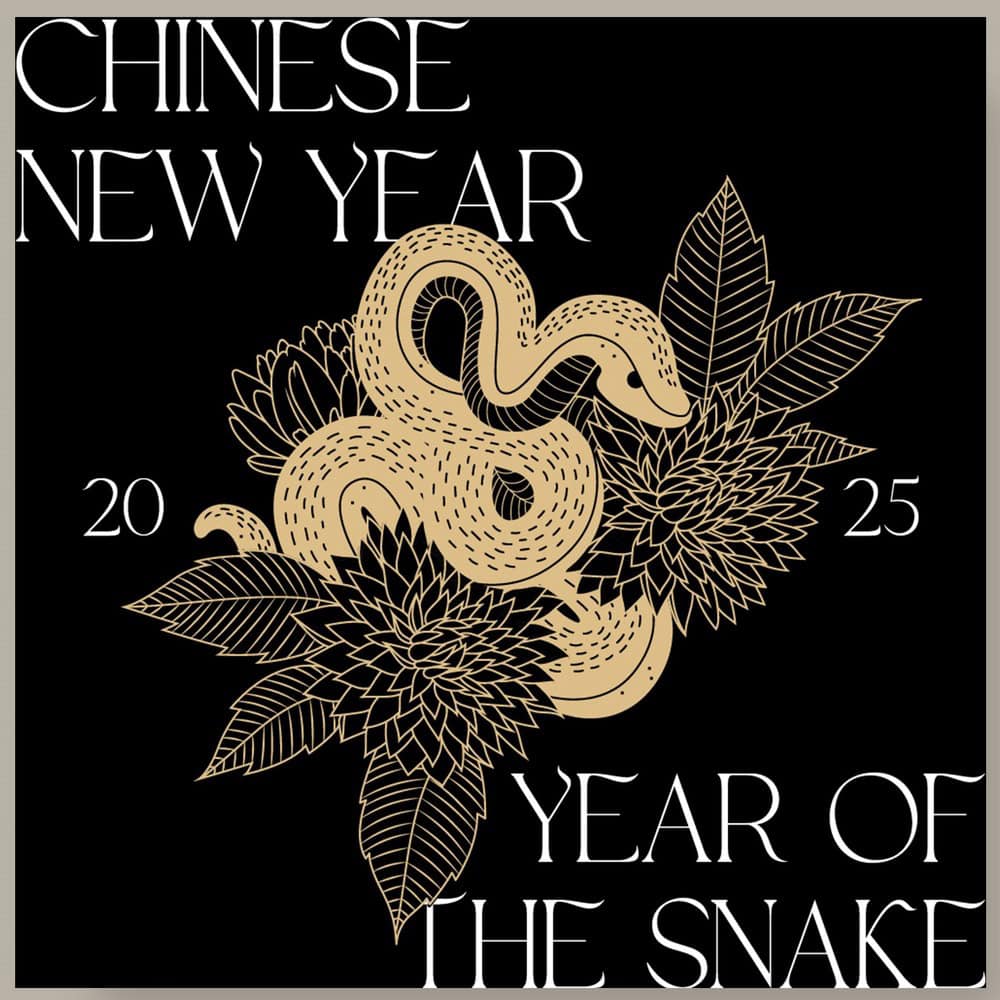 The Year of the Wood Snake - Feng Shui 2025 