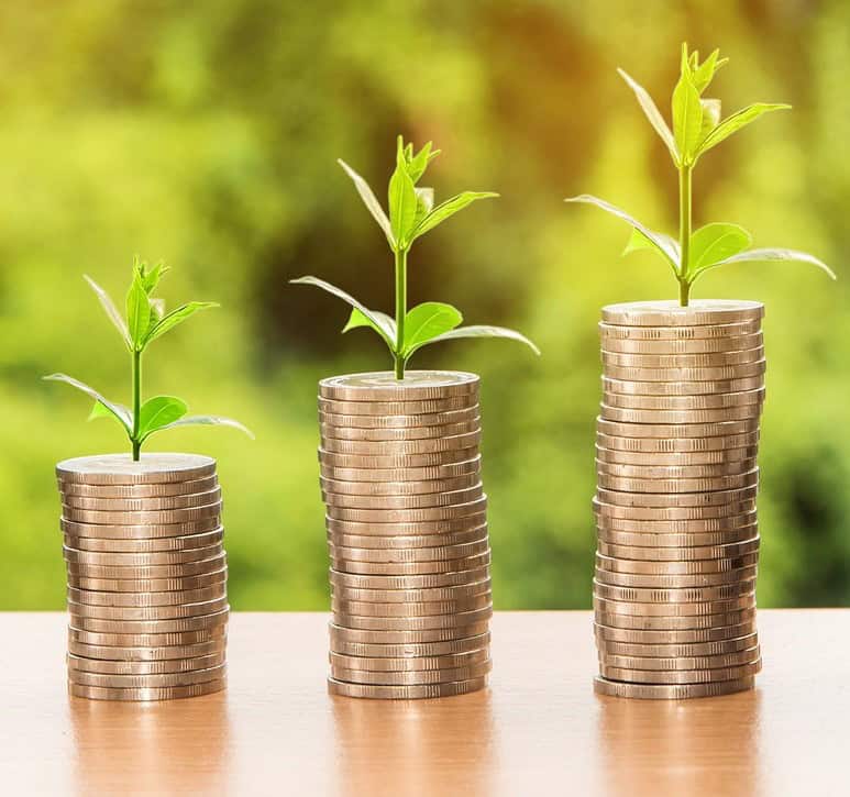 Feng Shui Cures to Improve Finances: Simple Shifts for Abundant Wealth 1