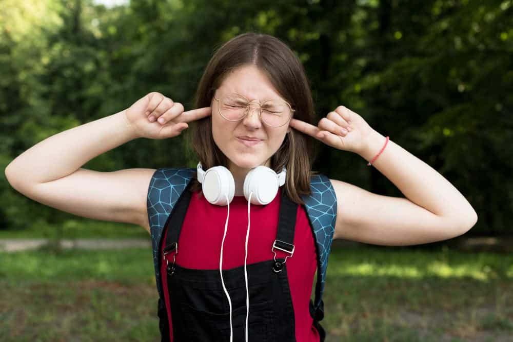 Soundproof Your Garden Sanctuary from External Distractions Soundproof Your Garden Sanctuary from External Distractions