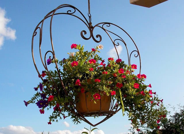 Top flower jobs for May Top flower jobs for May