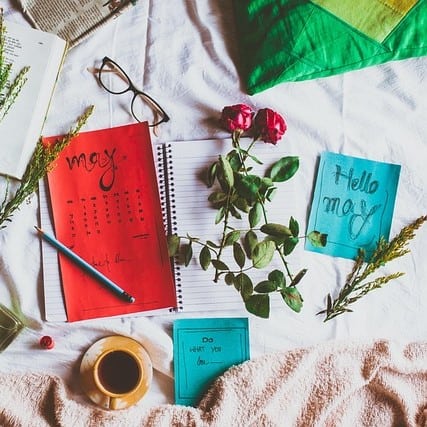 Essential Garden Jobs for May to Keep Your Garden Thriving 1