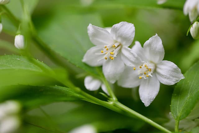 Top flower jobs for May Top flower jobs for May